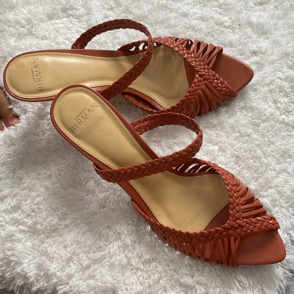 Alexandre Birman heels